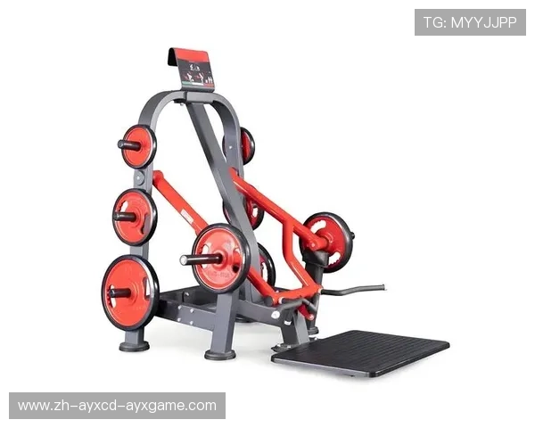 高效省空间小型健身器材训练方案全解析